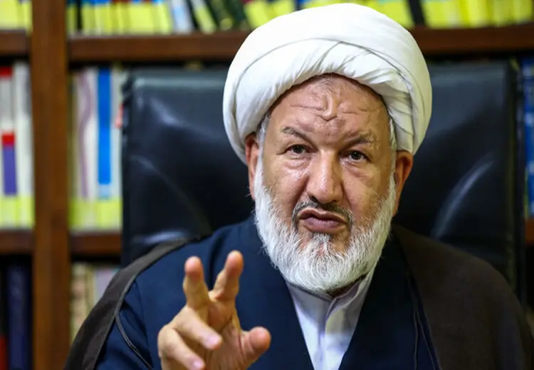 رازینی: برداشت ما از فرمایش آقا این بود، اما شورای نگهبان است دیگر!