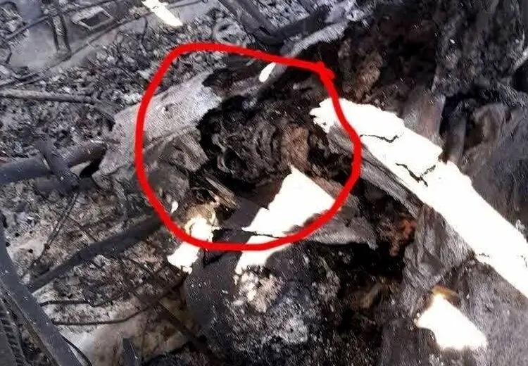  عکس سپاه از جمجمه یک نظامی آمریکایی در اصفهان