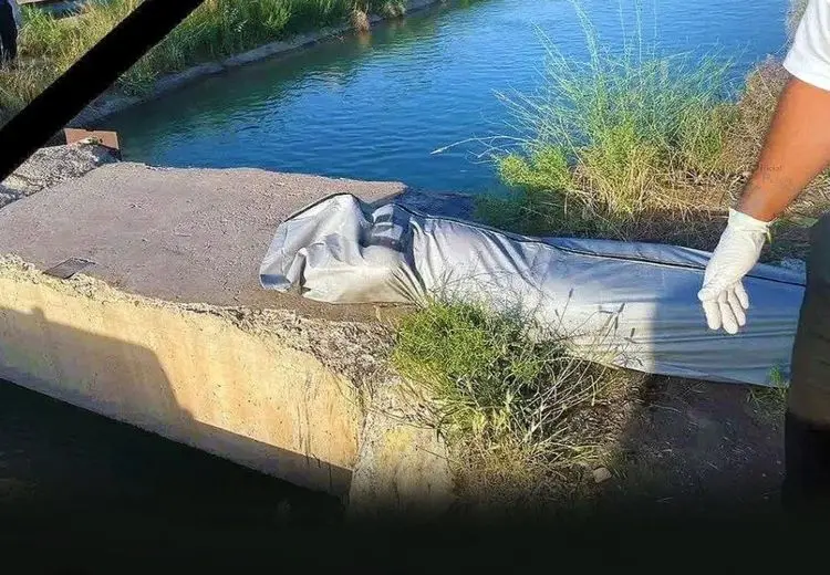 قاتل ملیکا دستگیر شد