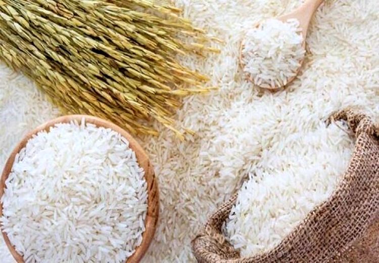 ممنوعیت خرید برنج داخلی در فصل واردات