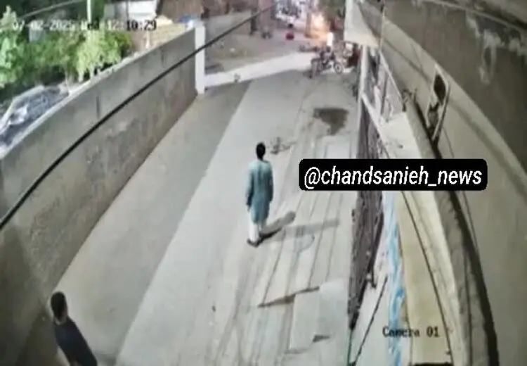 لحظه حمله شیر خانگی به یک زن و دو کودک