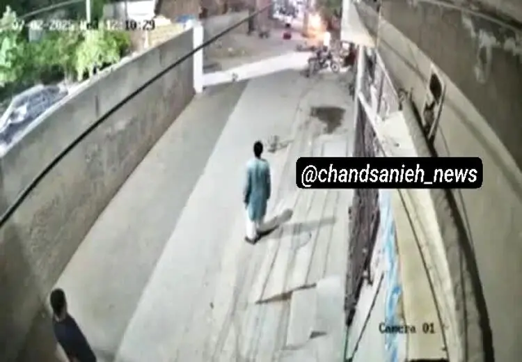 لحظه حمله شیر خانگی به یک زن و دو کودک