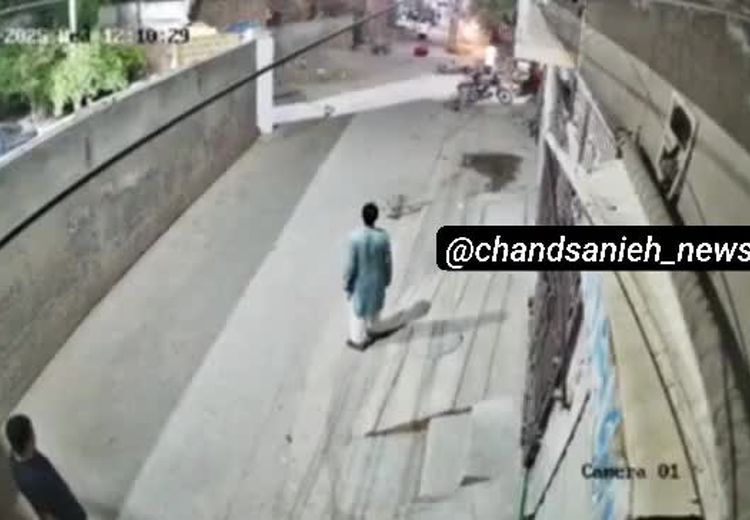 لحظه حمله شیر خانگی به یک زن و دو کودک