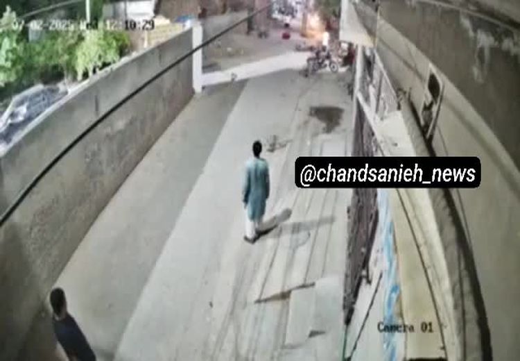 لحظه حمله شیر خانگی به یک زن و دو کودک