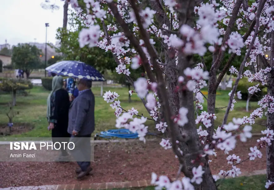بررسی یک شایعه داغ / آیا اختلال در رادارها باعث افزایش بارش‌های امسال شد؟