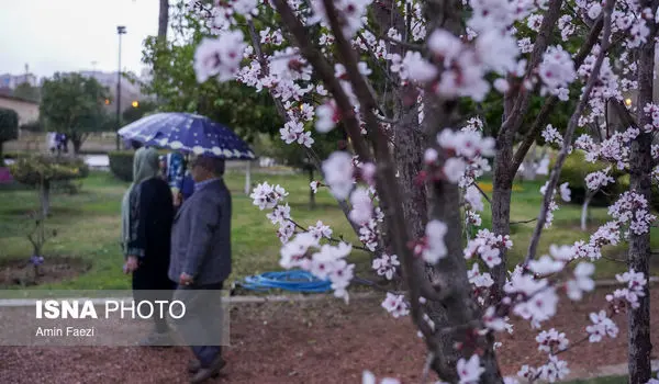 بررسی یک شایعه داغ / آیا اختلال در رادارها باعث افزایش بارش‌های امسال شد؟
