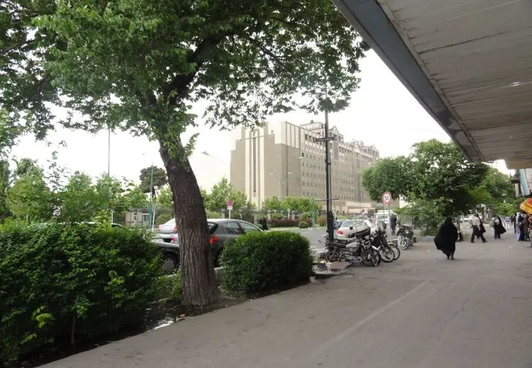 جزییات تیراندازی با سلاح شکاری در اطراف مجلس