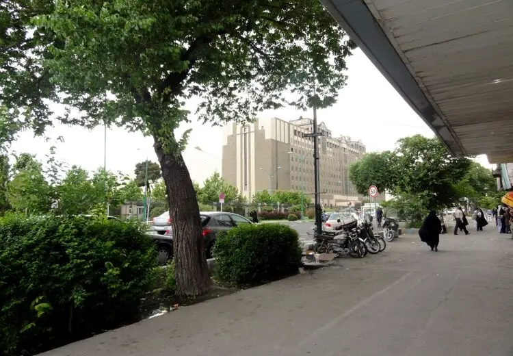 جزییات تیراندازی با سلاح شکاری در اطراف مجلس
