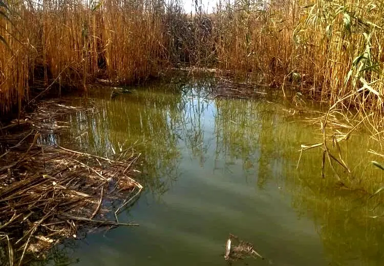 نجات دختر ۶ساله از کانال آب توسط تکنسین اورژانس