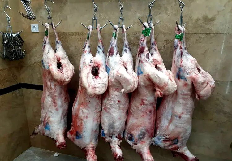 فروش شقه گوسفند از کیلویی ۲۸۲ تا ۳۱۶ هزار تومان 
