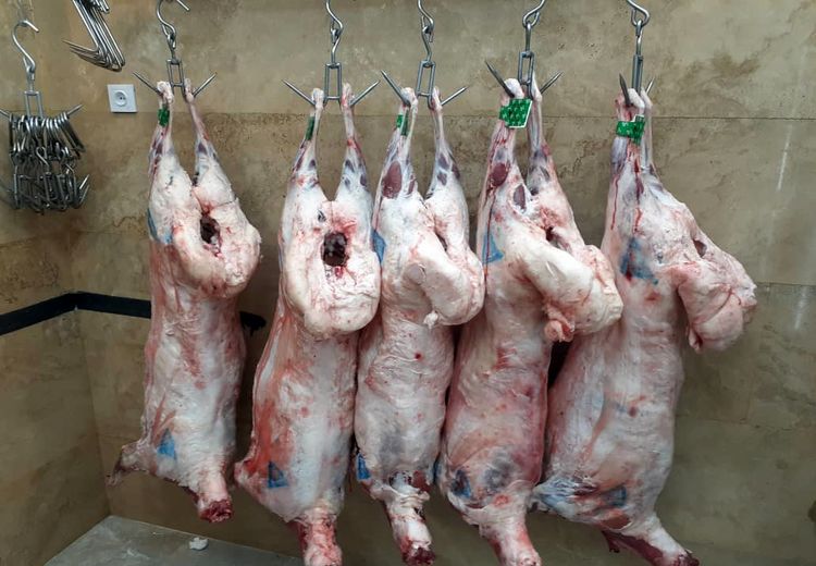 فروش شقه گوسفند از کیلویی ۲۸۲ تا ۳۱۶ هزار تومان 