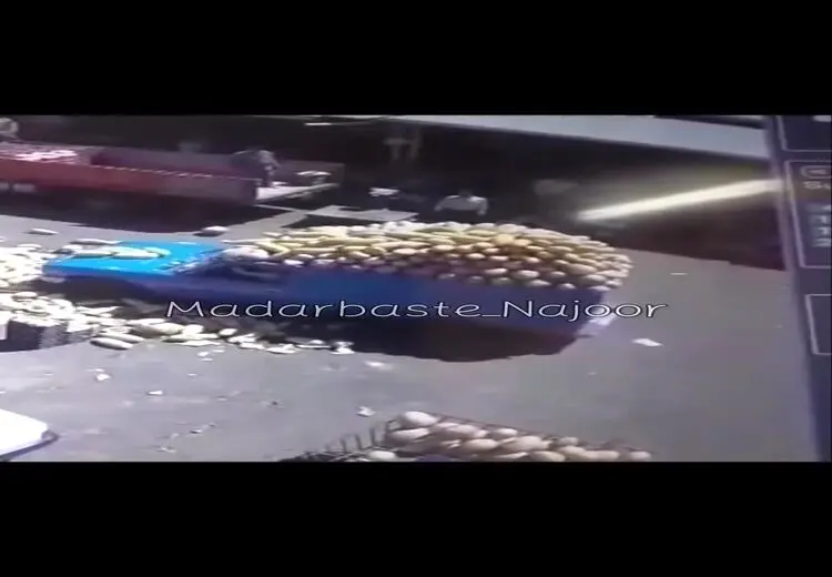  لحظه واژگونی بار خربزه از نیسان آبی