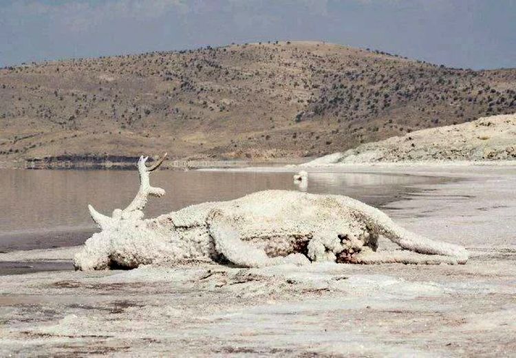 اتفاق دریاچه ارومیه برای تهران نیز در حال وقوع است