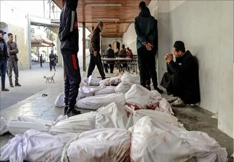 تعداد شهدای غزه به 32 هزار و 782 نفر رسید