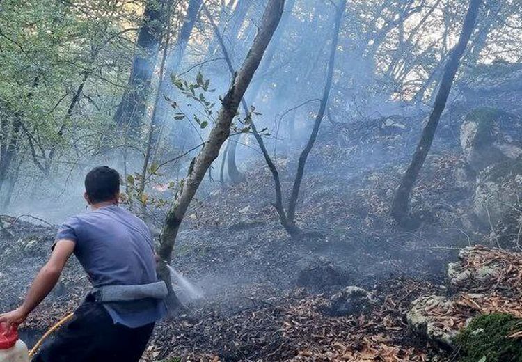 آتش‌سوزی در مراتع جنگل ابر استان سمنان 