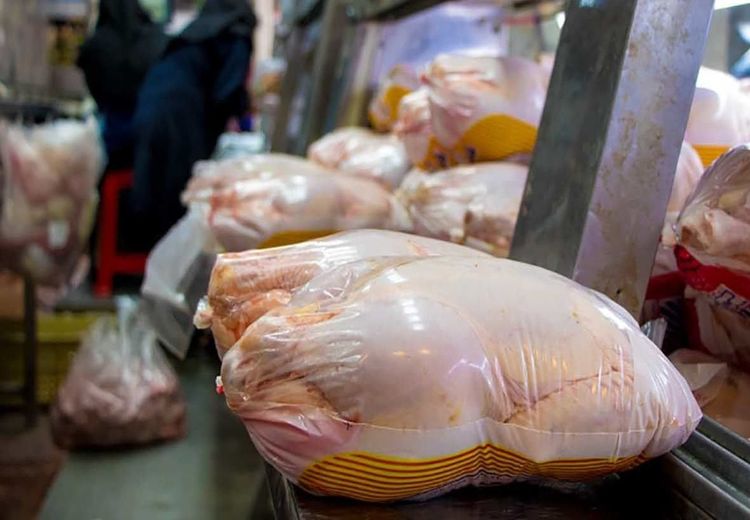 تایید کاهش تولید مرغ در اسفند و تکذیب مرغ کیلویی ۱۰۰ هزارتومانی