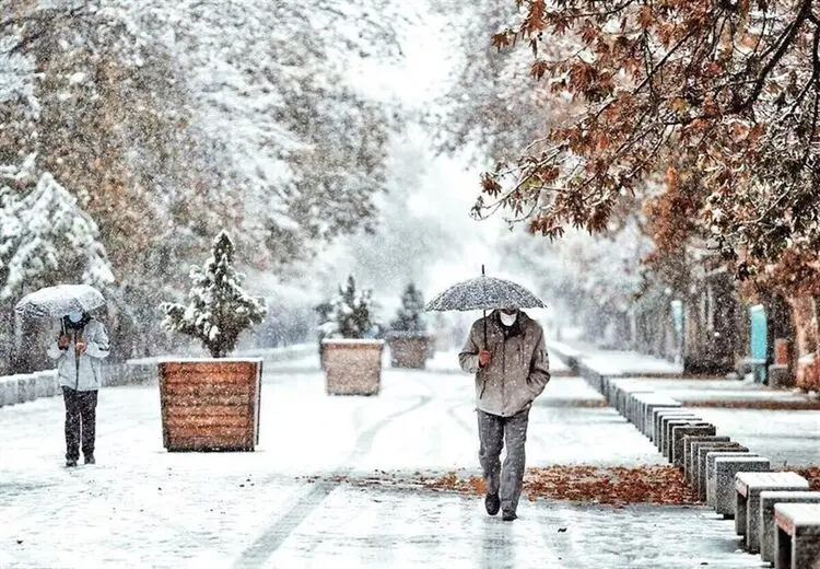 در اردبیل ۴۰ سانتی‌متر برف نشست! + عکس