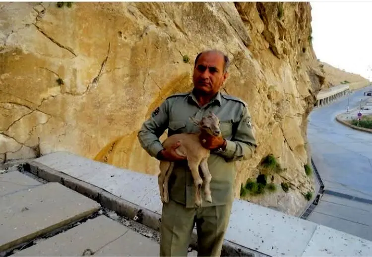 قاتل محیط‌بان خائیز دستگیر شد