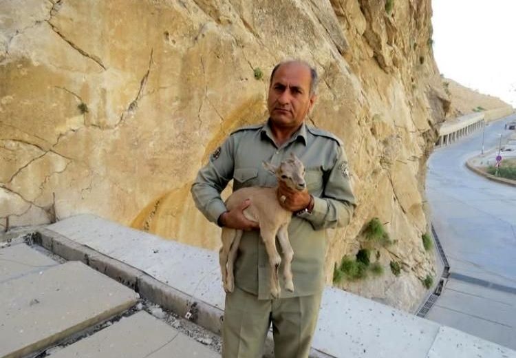 قاتل محیط‌بان خائیز دستگیر شد