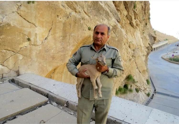 قاتل محیط‌بان خائیز دستگیر شد