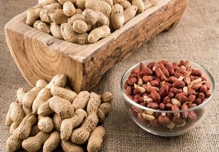 این مواد غذایی ضربان قلب را کوک می‌کنند