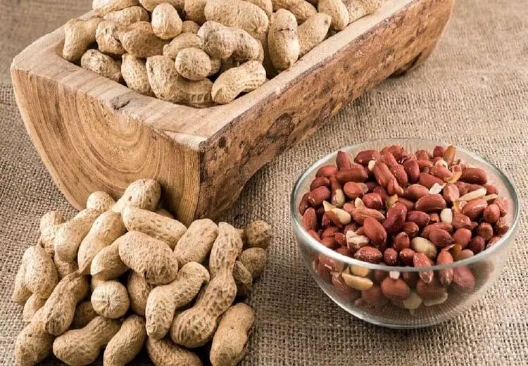 این مواد غذایی ضربان قلب را کوک می‌کنند