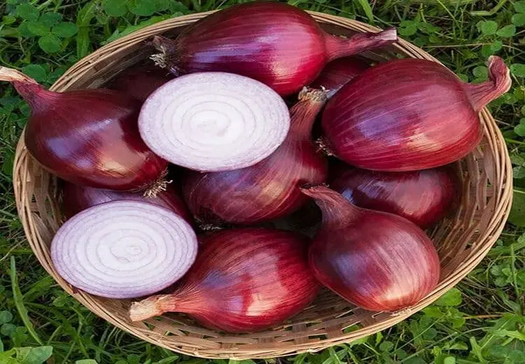 پوست پیاز را دور نریزید