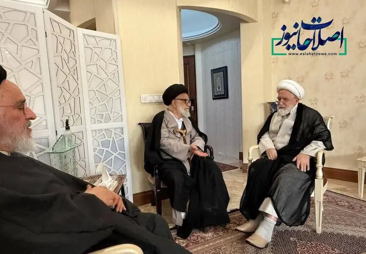 دیدار محقق داماد با کروبی/ عکس