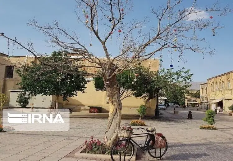 استاندار فارس: درخت آرزوها را قطع کردند چون خشک شده بود/ اسم بلوار تغییرنام یافته هم آزادی نبود
