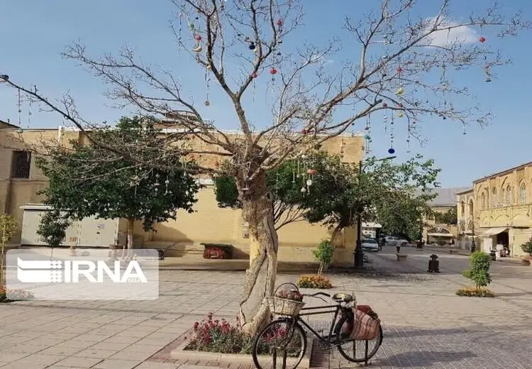 استاندار فارس: درخت آرزوها را قطع کردند چون خشک شده بود/ اسم بلوار تغییرنام یافته هم آزادی نبود