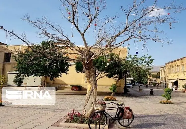 استاندار فارس: درخت آرزوها را قطع کردند چون خشک شده بود/ اسم بلوار تغییرنام یافته هم آزادی نبود