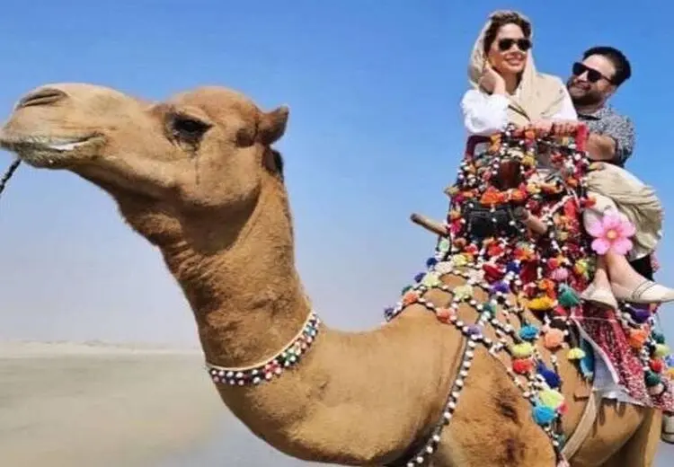 شترسواری بابک جهانبخش و همسرش در قشم/ عکس