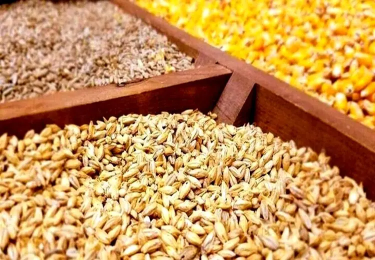 کدام کالاهای اساسی ارز می‌گیرند؟