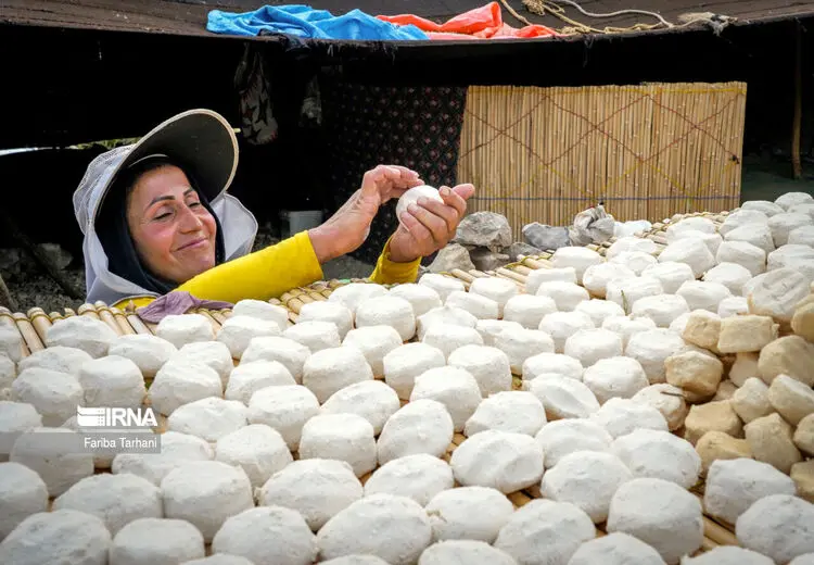 عشایر بختیاری در ییلاق