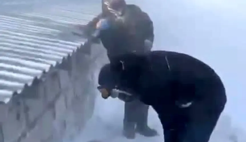 تصاویر نجات گوسفندان گیرافتاده زیر برف ۱ متری 