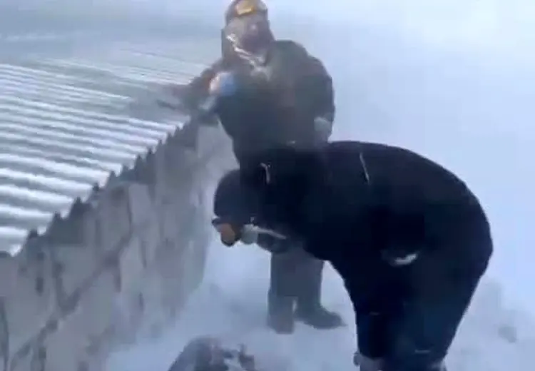 تصاویر نجات گوسفندان گیرافتاده زیر برف ۱ متری 