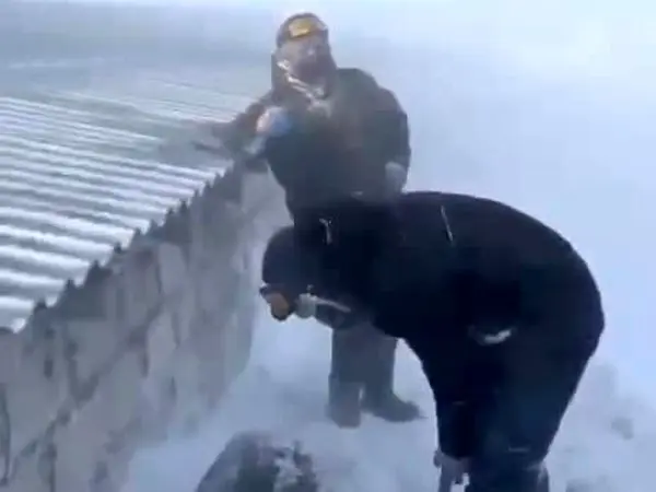 تصاویر نجات گوسفندان گیرافتاده زیر برف ۱ متری 