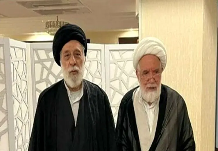 دیدار برادر رهبر انقلاب با مهدی کروبی