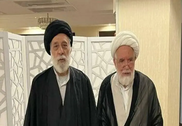 دیدار برادر رهبر انقلاب با مهدی کروبی