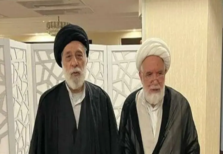 دیدار برادر رهبر انقلاب با مهدی کروبی