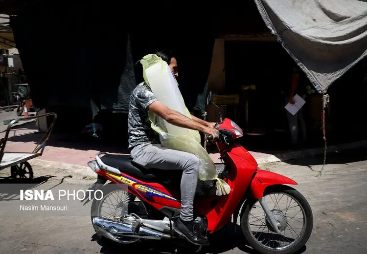 بغل کردن یخ برای فرار از گرما