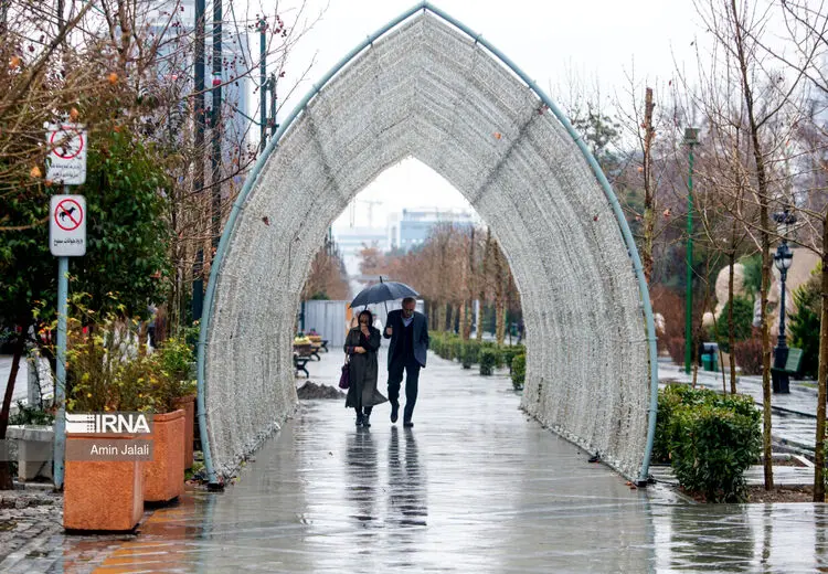 سهم آلودگی‌های محیط زیستی بر ناباروری زوج‌ها به خصوص مردان