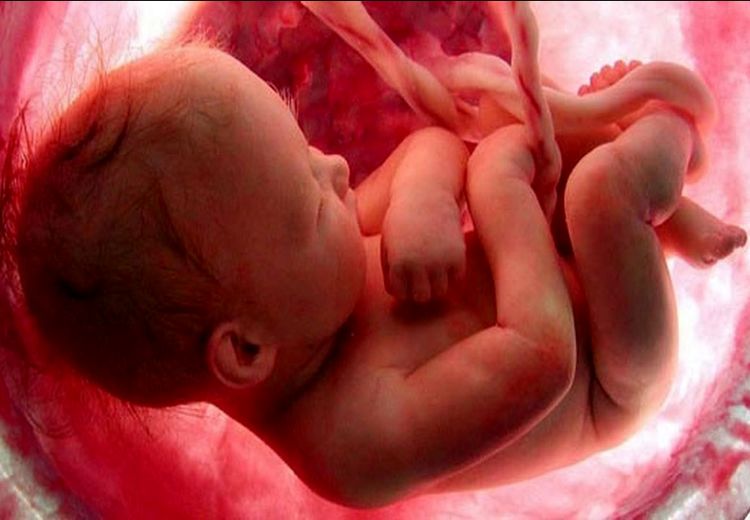 ثبت آزمایش مثبت بارداری‌ در سامانه ملی باروری! 