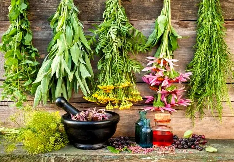 استفاده از طب ایرانی برای کاهش وزن بدون بازگشت