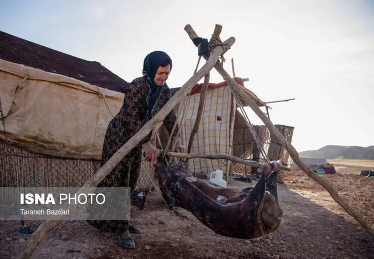 جزئیات «بیمه رایگان» زنان روستایی دارای۳ فرزند و بیشتر