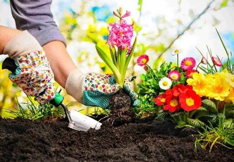 ارثیه خوب کرونا برای ما