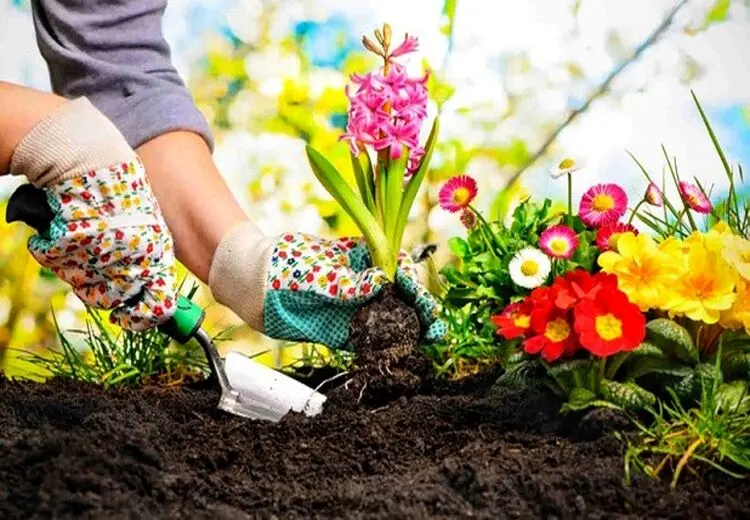 ارثیه خوب کرونا برای ما