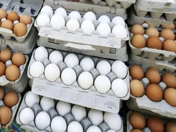  تخم‌مرغ دانه‌ای ۱۲ هزار تومان!