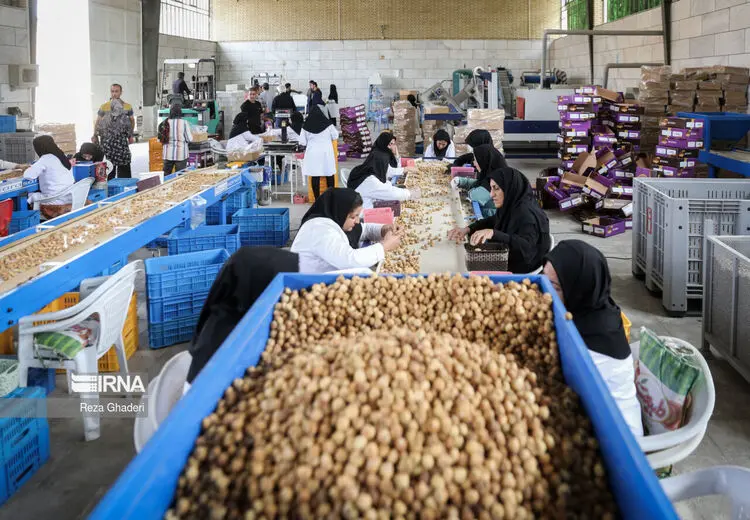 نماینده کارگران: وزیر کار به دنبال کنار گذاشتن تشکل‌های کارگری است
