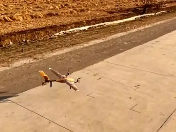 اولین پهپاد بامبویی جهان به پرواز درآمد 